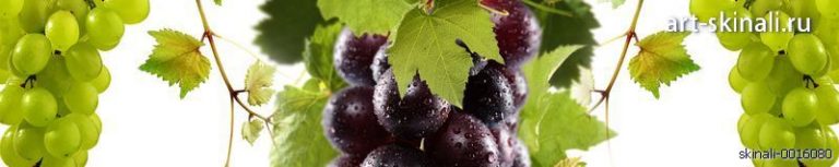фото для скинали виноград