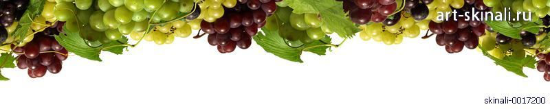фото для фартука разнообразие сортов винограда