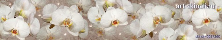 фото для скинали белые орхидеи