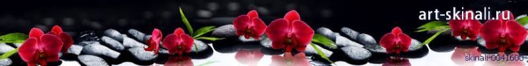 фото для скинали карсные орхидеи на черных камнях