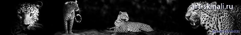 Фото для скинали леопард на черном фоне