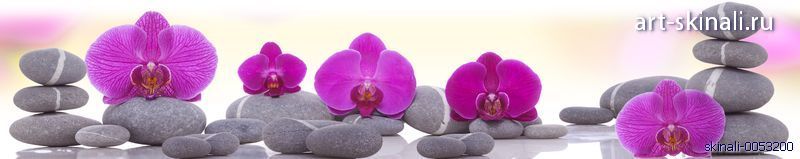 фиолетовые орхидеи и камни