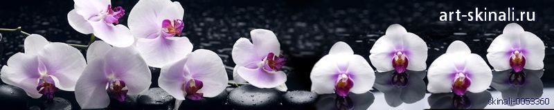 фото для скинали розовые орхидеи на черном