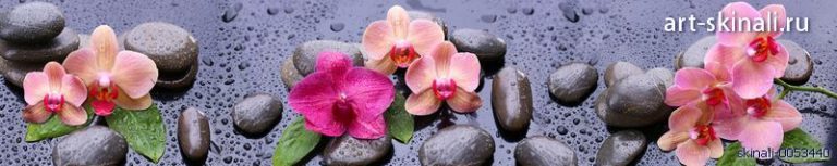 фото для фартука розовые орхидеи на сером и капли