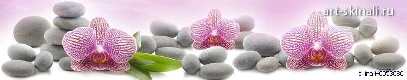 фото для скинали розовые орхидеи на серых камнях