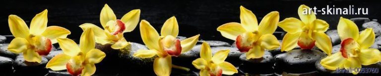 желтые орхидеи на черном
