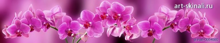 фото для фартука цветы орхидея