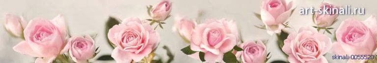 фото для скинали розовые розы