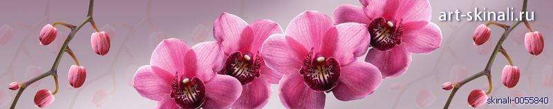 фото для скинали розовая орхидея
