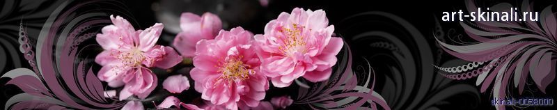 фото для фартука розовые цветы на черном фоне