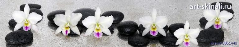 фото для фартука в кухню белые орхидеи на черных камнях