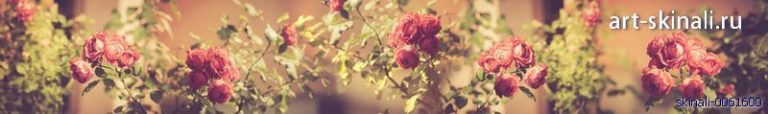 фото для скинали кустовые розовые розы