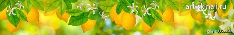 фото для фартука лимоны на ветке и цветы