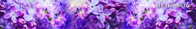 фото для фартука фиолетовые цветы сирени макро