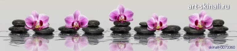 фото для фартука цветы сиреневой орхидеи на черных камнях