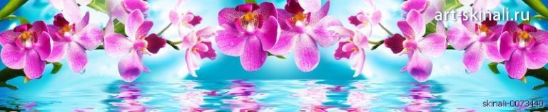 фото для фартука в кухню орхидея над водой