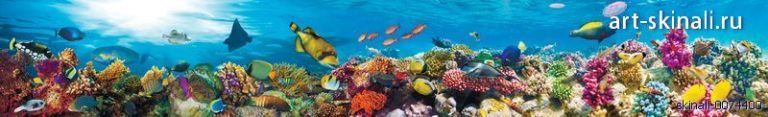 Фото для скинали под водой море рыбы рифы