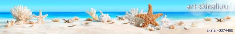Фото для скинали песок ракушки море