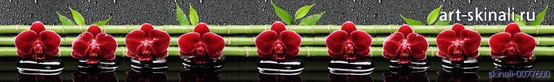 фото для фартука бардовые орхидеи на черных камнях
