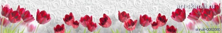 фото для фартука красные тюльпаны на белом фоне