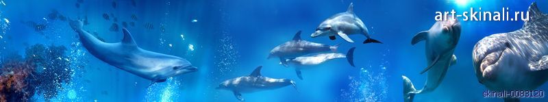 фото для скинали дельфины под водой