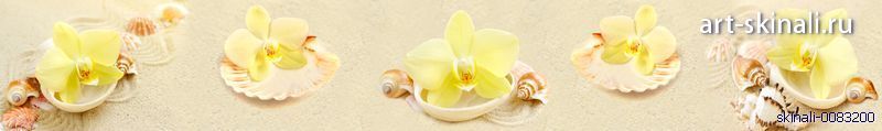 фото для фартука желтые орхидеи