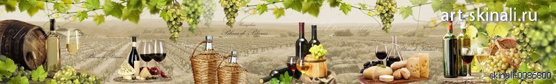 фото поле виноград и вино