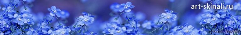 фото для фартука голубые цветы