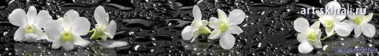фото для скинали орхидеи на черном